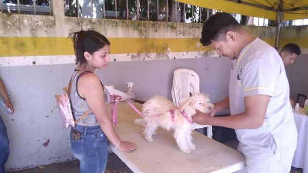 Tu Comunidad Anuncian que se reprograma la jornada de castración