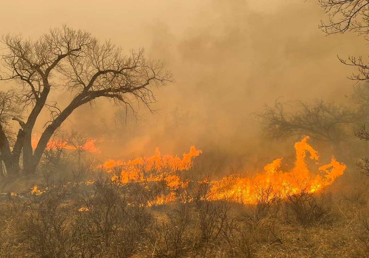 Incendio en Texas arrasa 50 mil acres: ¿qué daños se reportan y dónde hay evacuaciones?