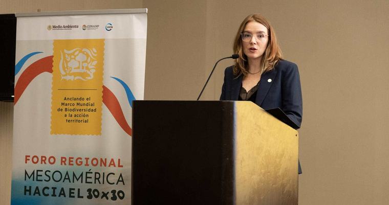Mesoamérica acelera la ruta hacia la meta 30×30: busca proteger el 30% de sus ecosistemas para 2030